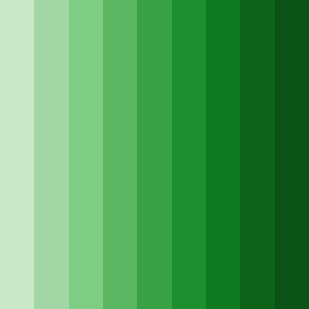 Download dark green garden color palette PNG image (square)