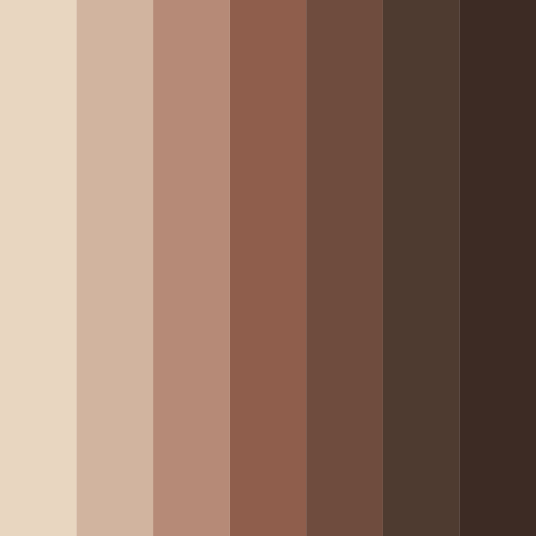 Download café mocha bliss color palette PNG image (square)