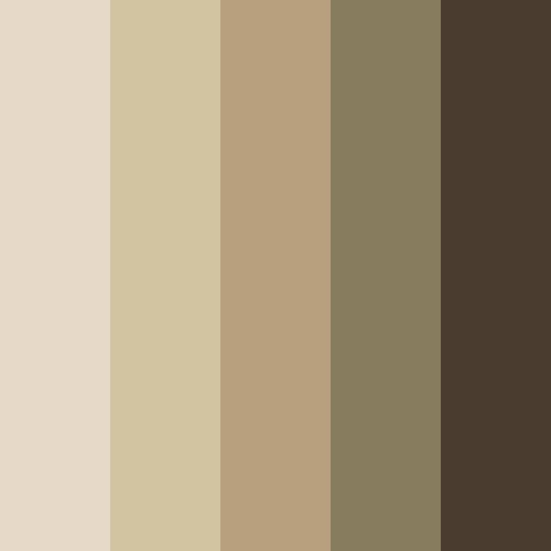 Download brown shades color palette PNG image (square)