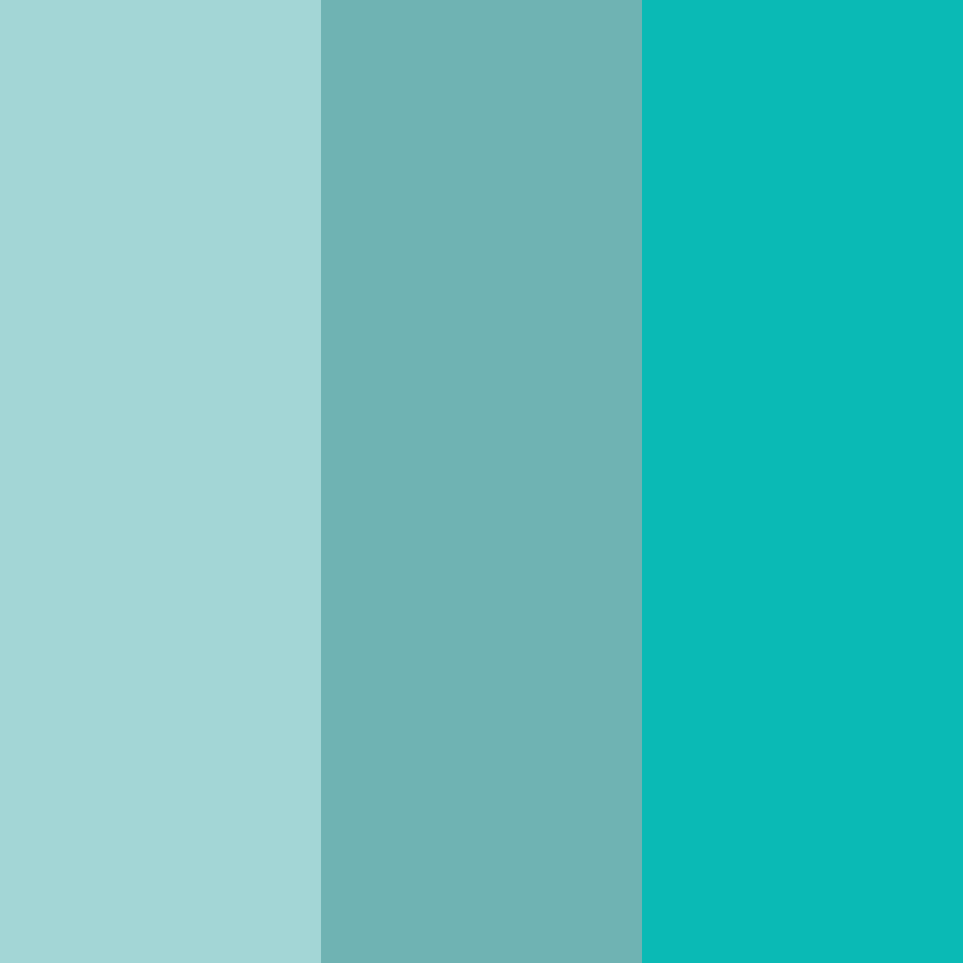 Download aquatic serenity color palette PNG image (square)