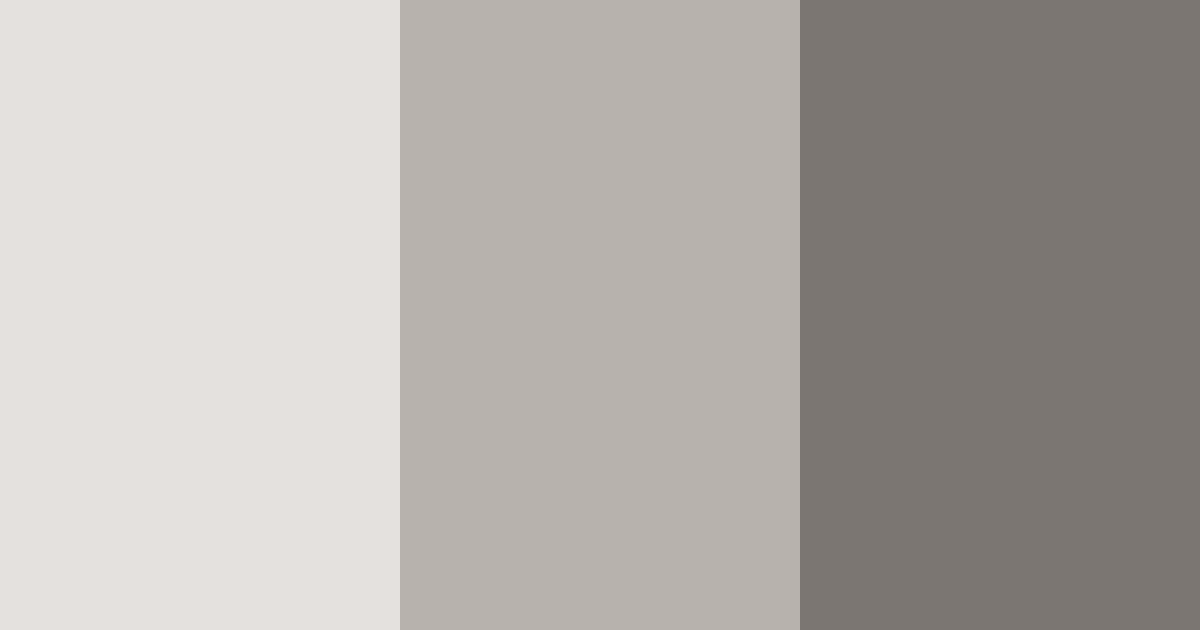 Download whispers of pebble stone color palette PNG image (landscape)