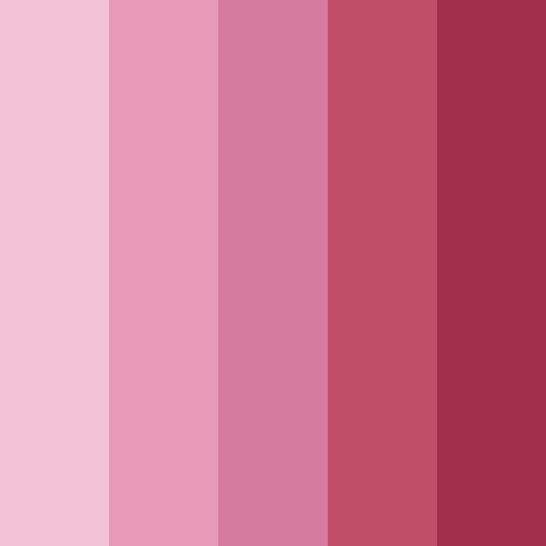Download pink raspberry color palette PNG image (square)