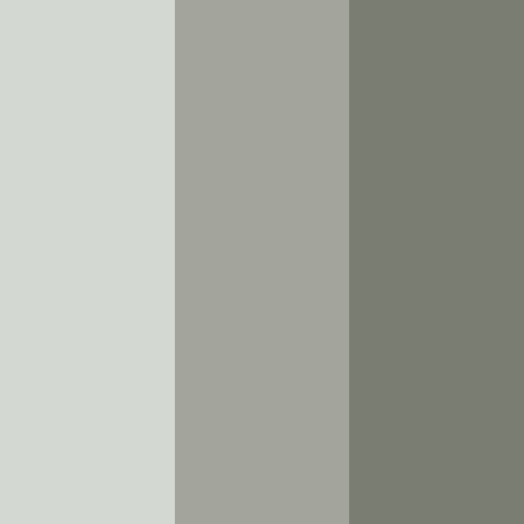 Download serene shadows color palette PNG image (square)