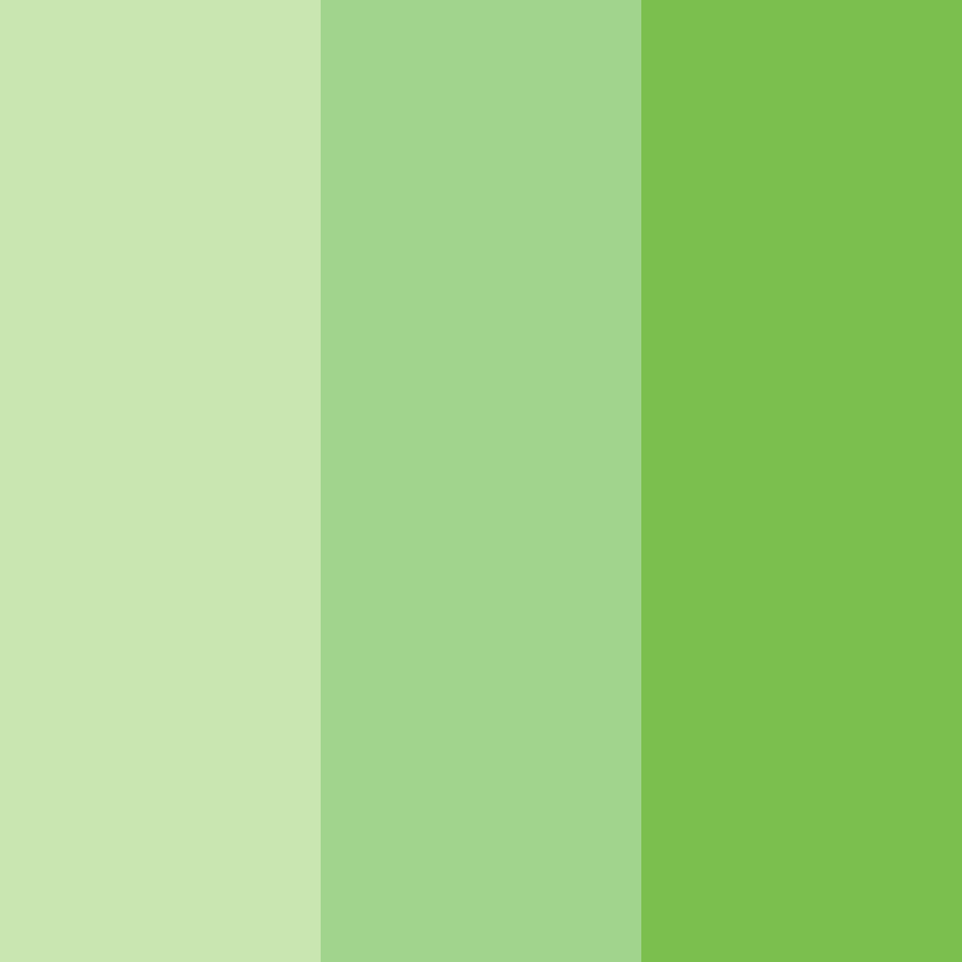 Download verdant harvest color palette PNG image (square)
