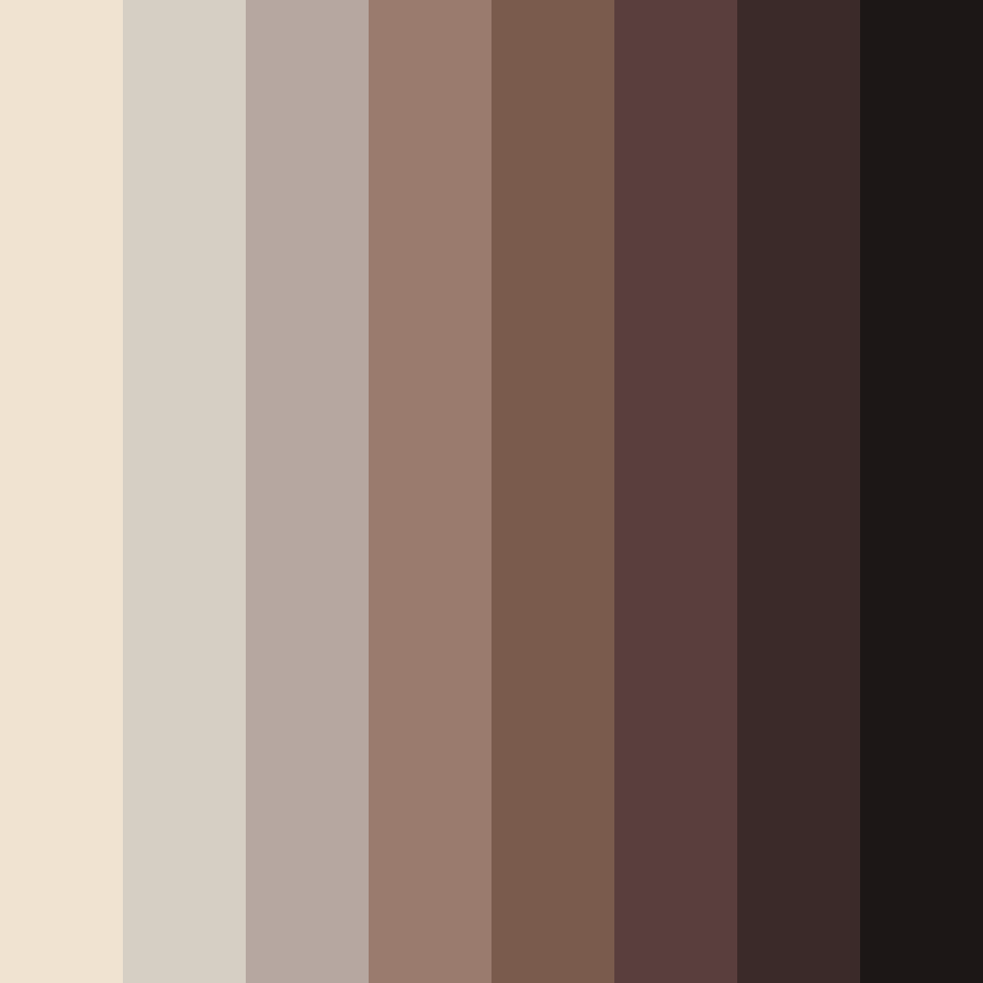 Download espresso reverie color palette PNG image (square)