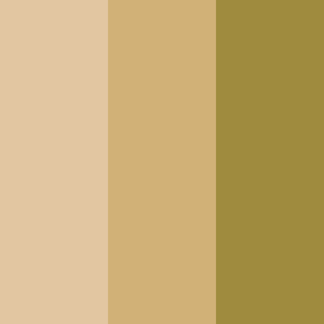 Download warm beige color palette PNG image (square)