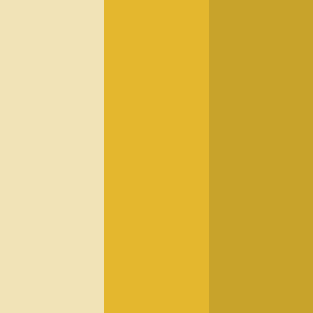 Download golden shades color palette PNG image (square)