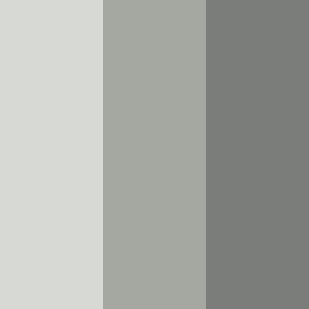 Download urban whisper color palette PNG image (square)