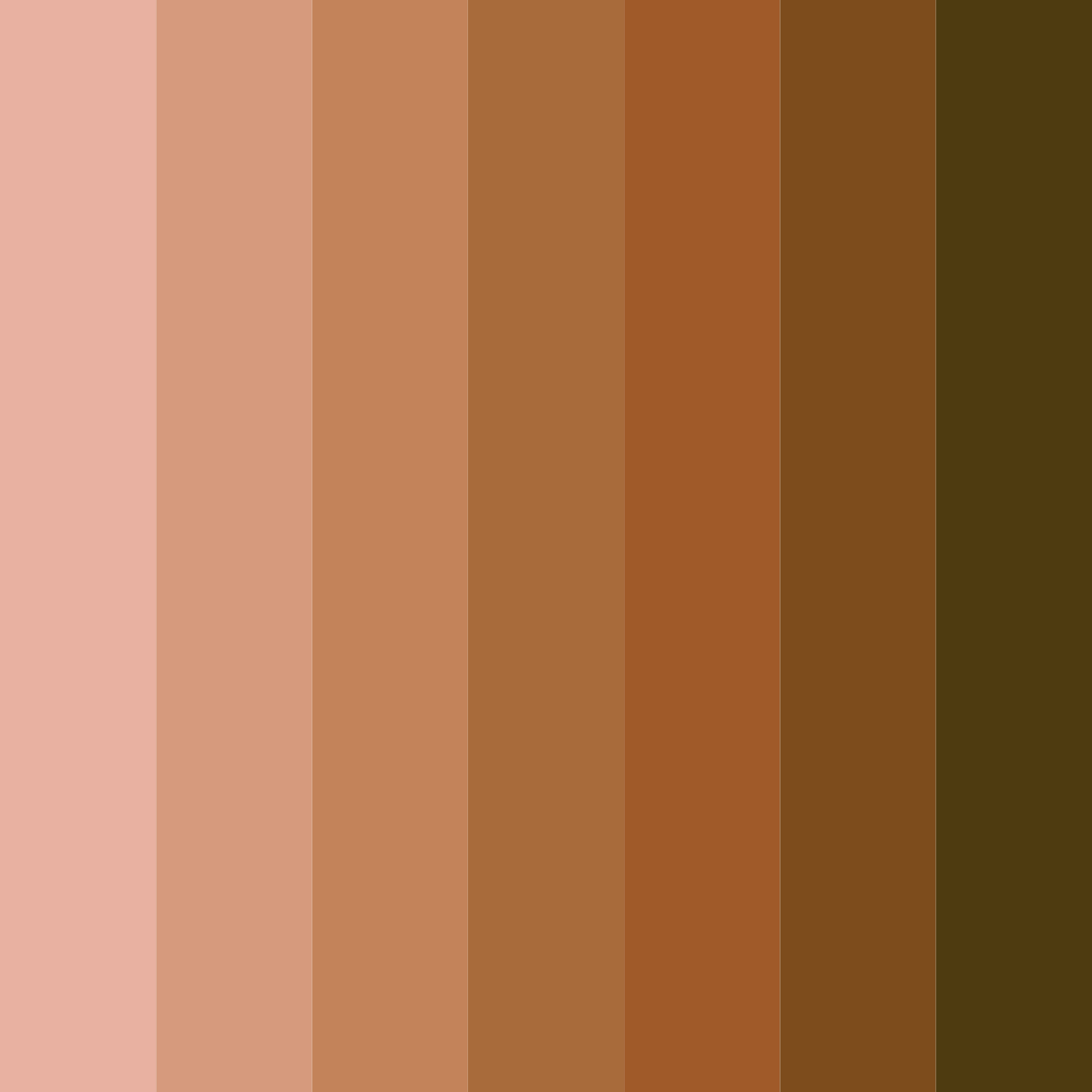 Download shades of brown color palette PNG image (square)