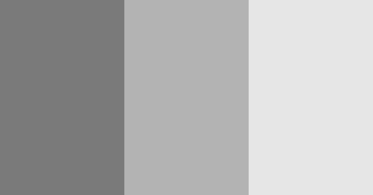 Download gray shades color palette PNG image (landscape)