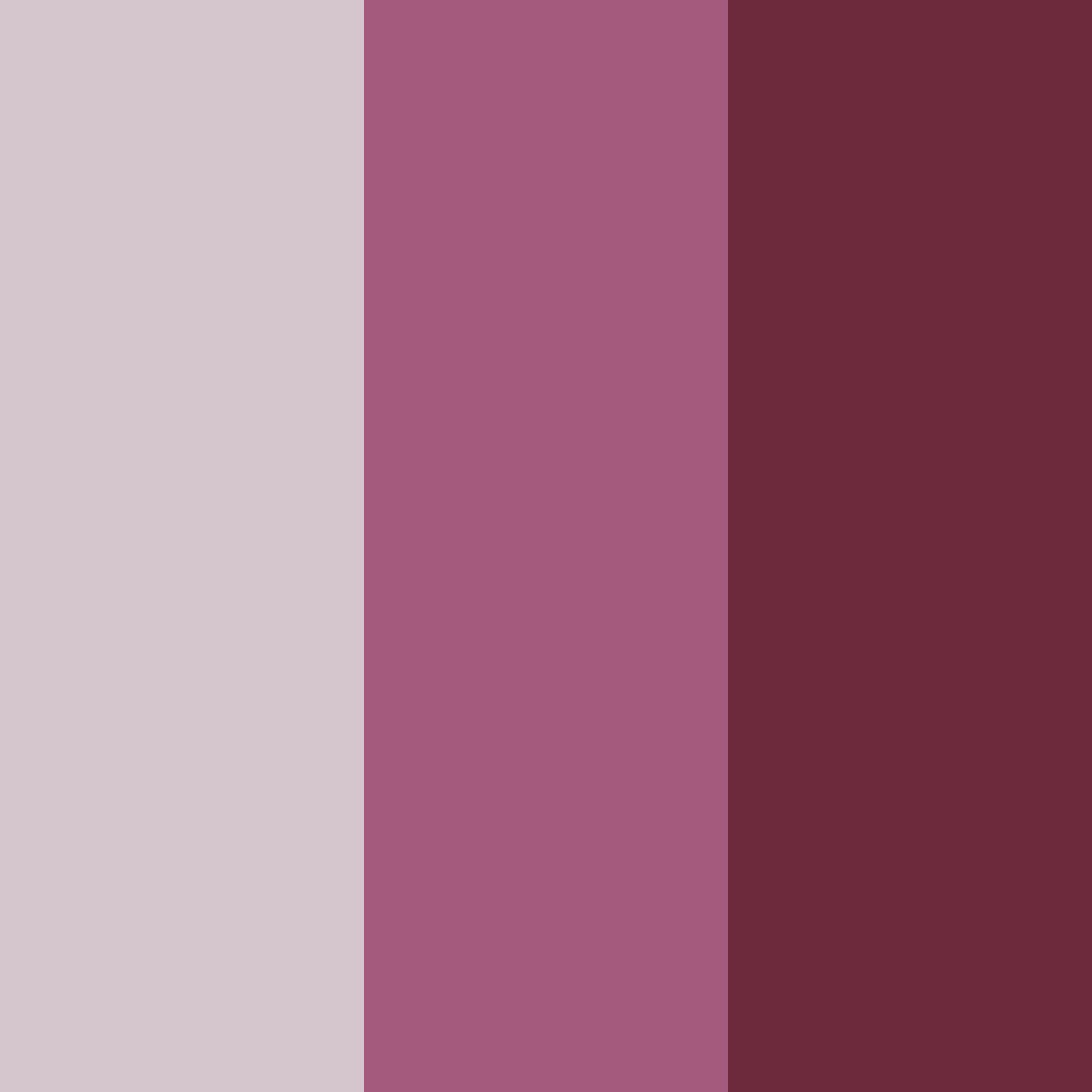 Download burgundy blush color palette PNG image (square)