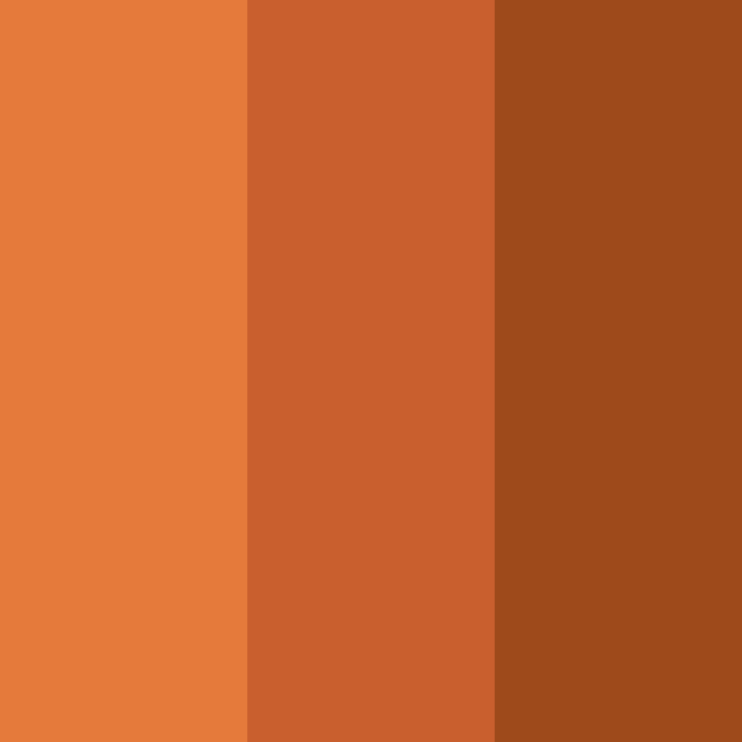 Download rusty orange color palette PNG image (square)
