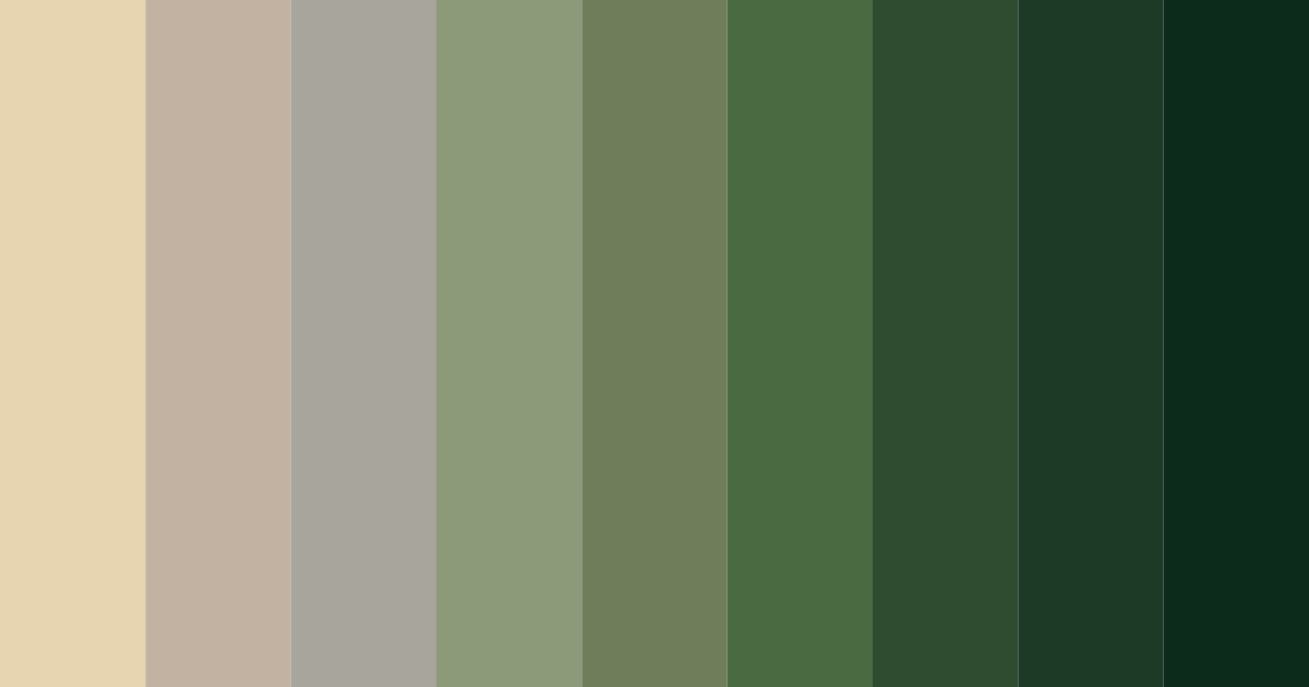 Download forest beige color palette PNG image (landscape)