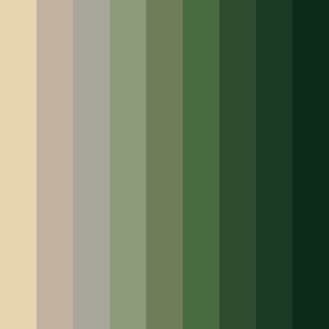 Download forest beige color palette PNG image (square)
