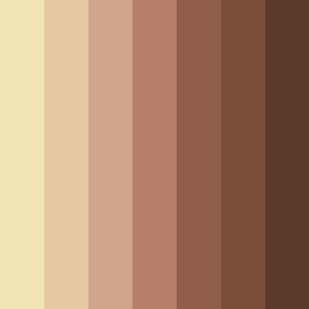 Download echoes of tradition color palette PNG image (square)