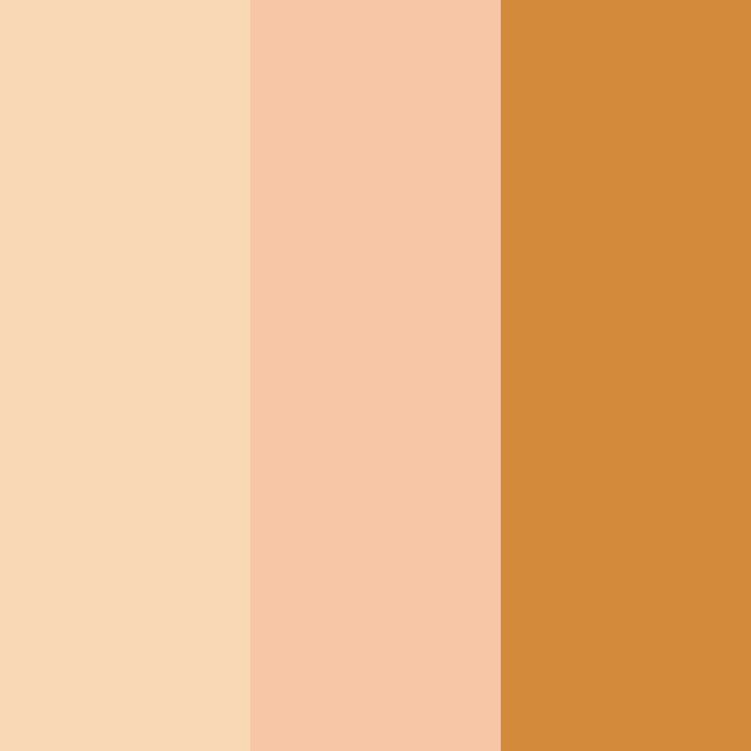 Download cultural harmony color palette PNG image (square)
