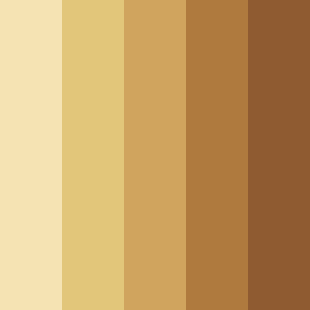 Download warm tan color palette PNG image (square)