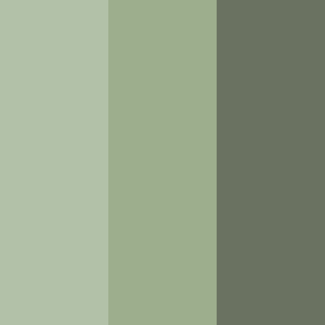 Download enchanted forest whisper color palette PNG image (square)