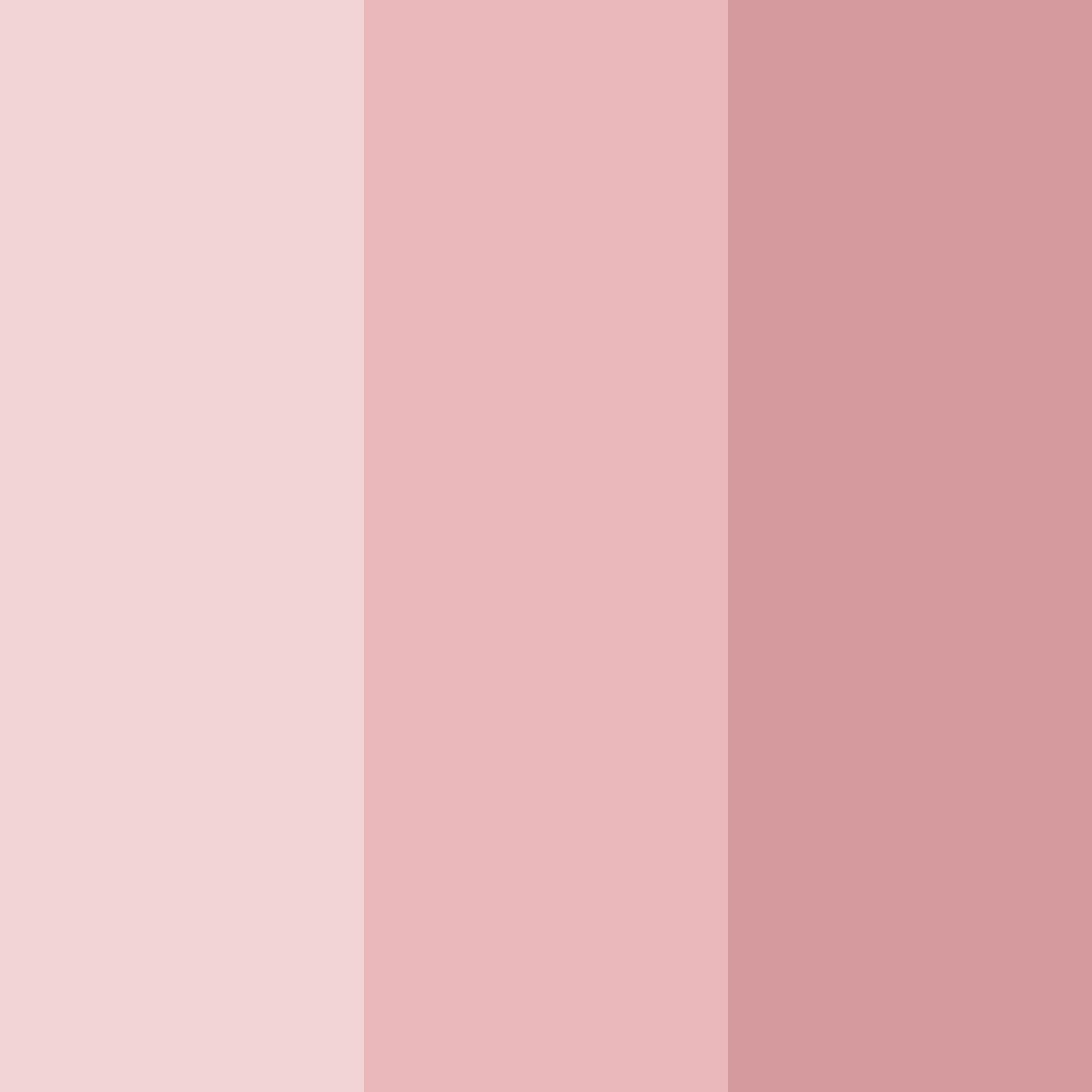 Download light pink color palette PNG image (square)