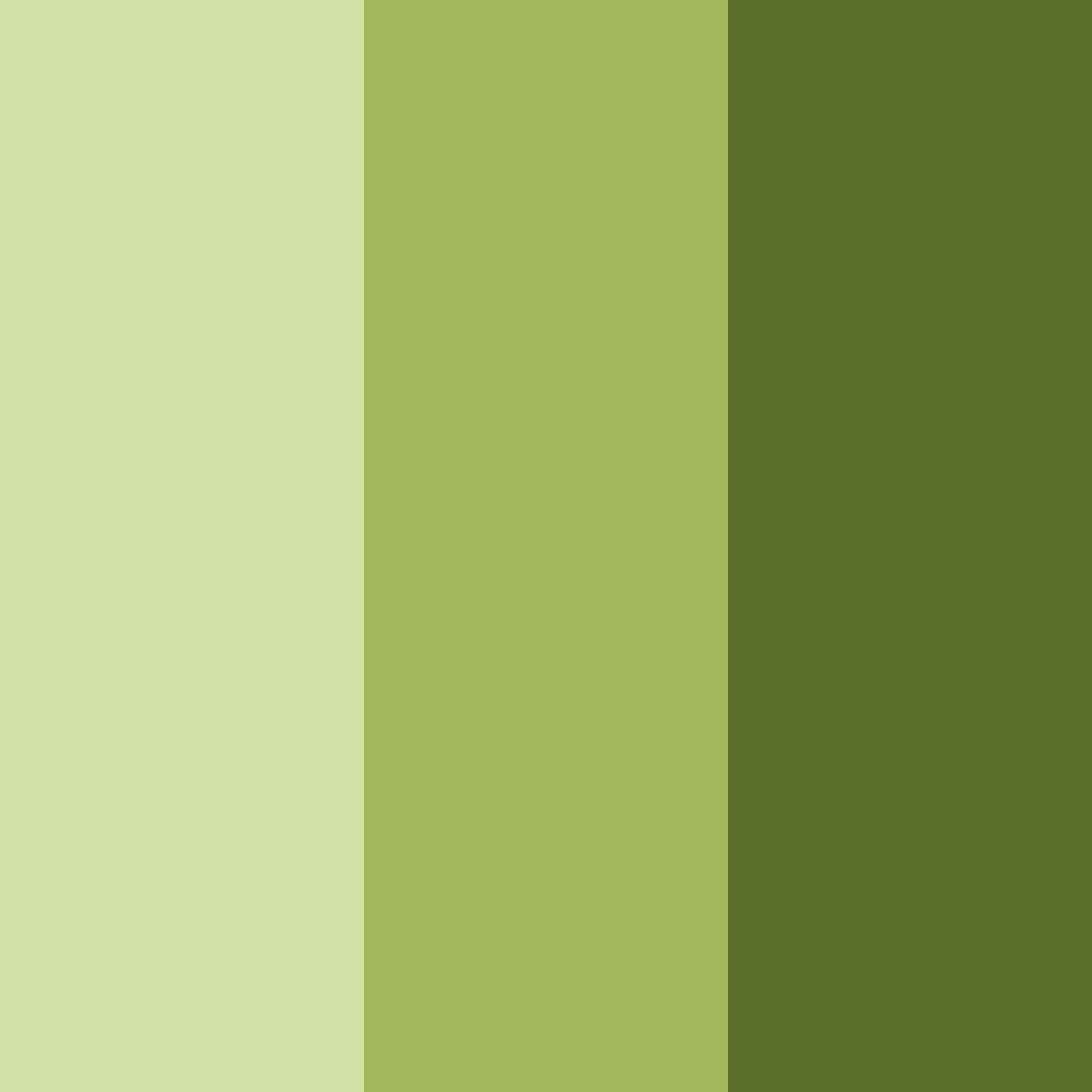 Download olive green color palette PNG image (square)
