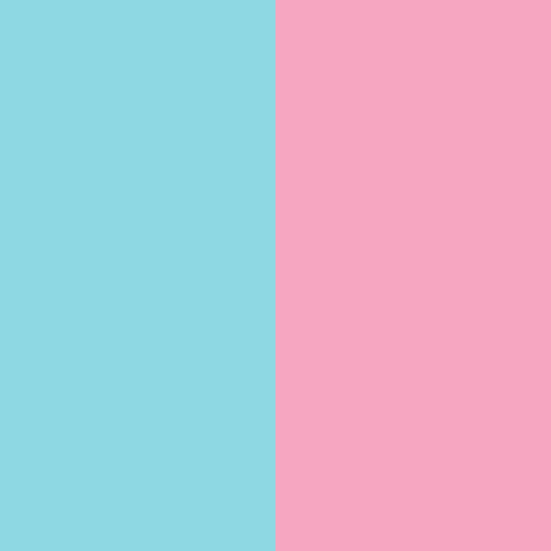 Download turquoise rose color palette PNG image (square)