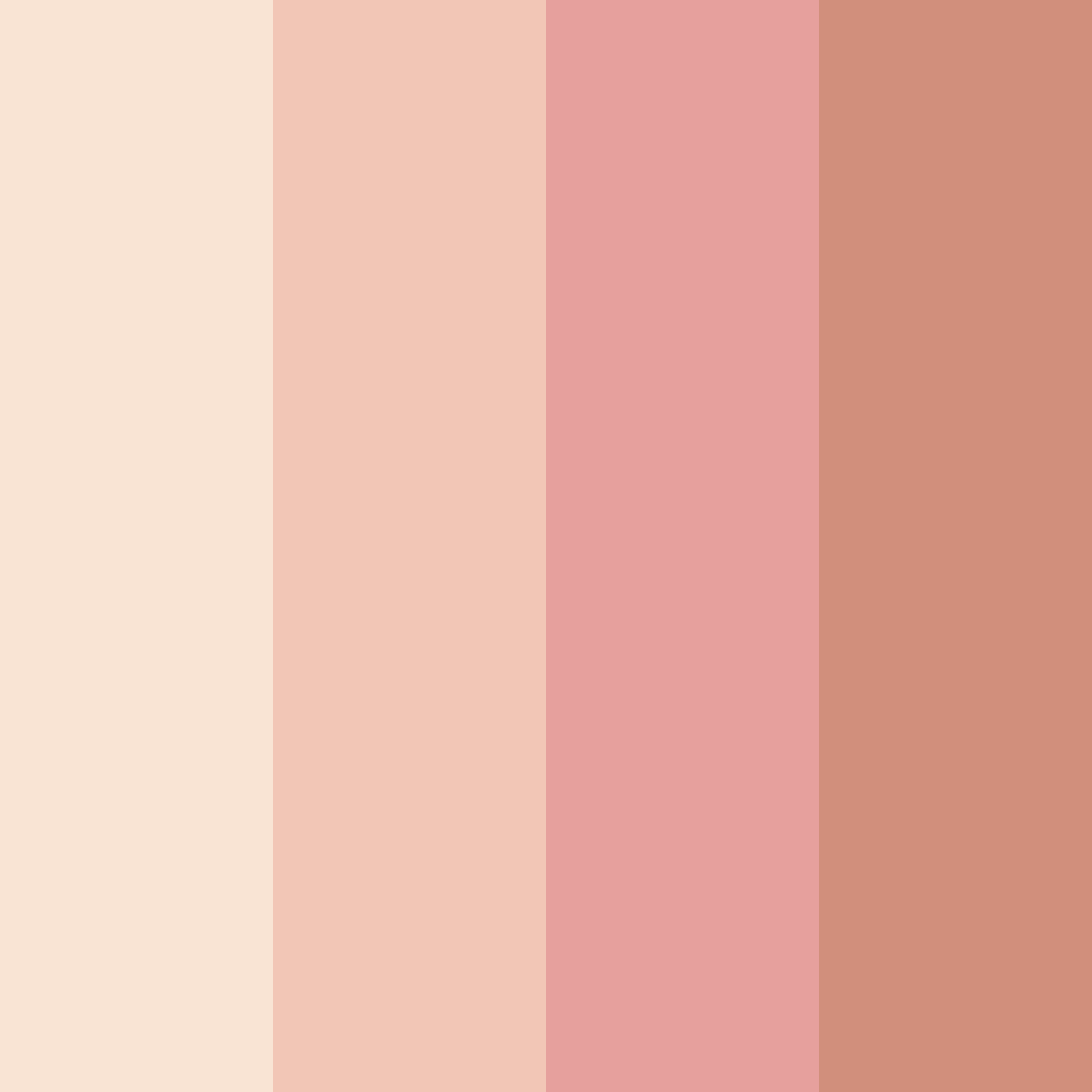 Download beige blush color palette PNG image (square)