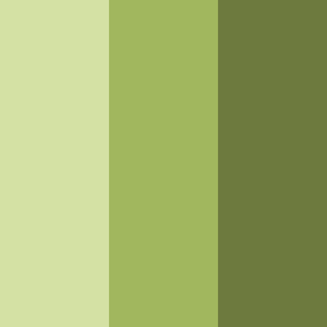 Download olive whisper color palette PNG image (square)