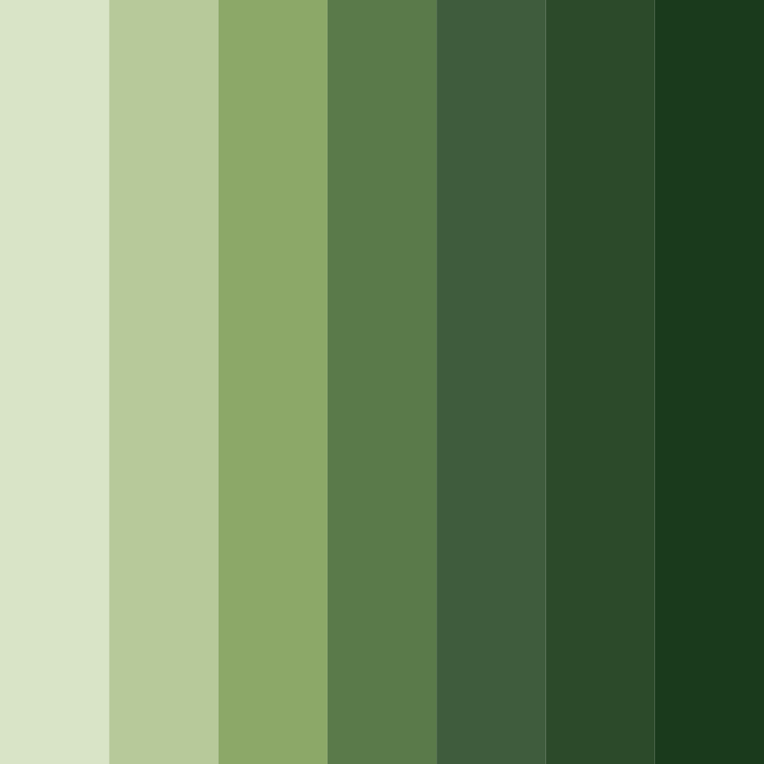 Download olive grove harmony color palette PNG image (square)