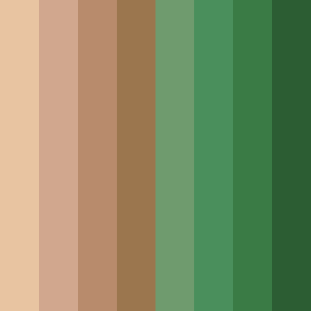 Download earthy harmony color palette PNG image (square)
