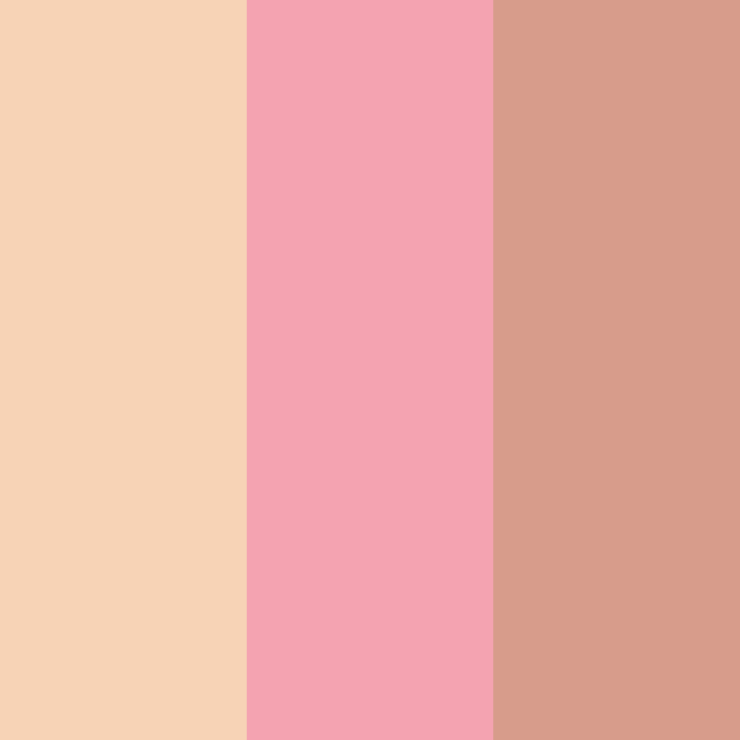 Download pink brown color palette PNG image (square)