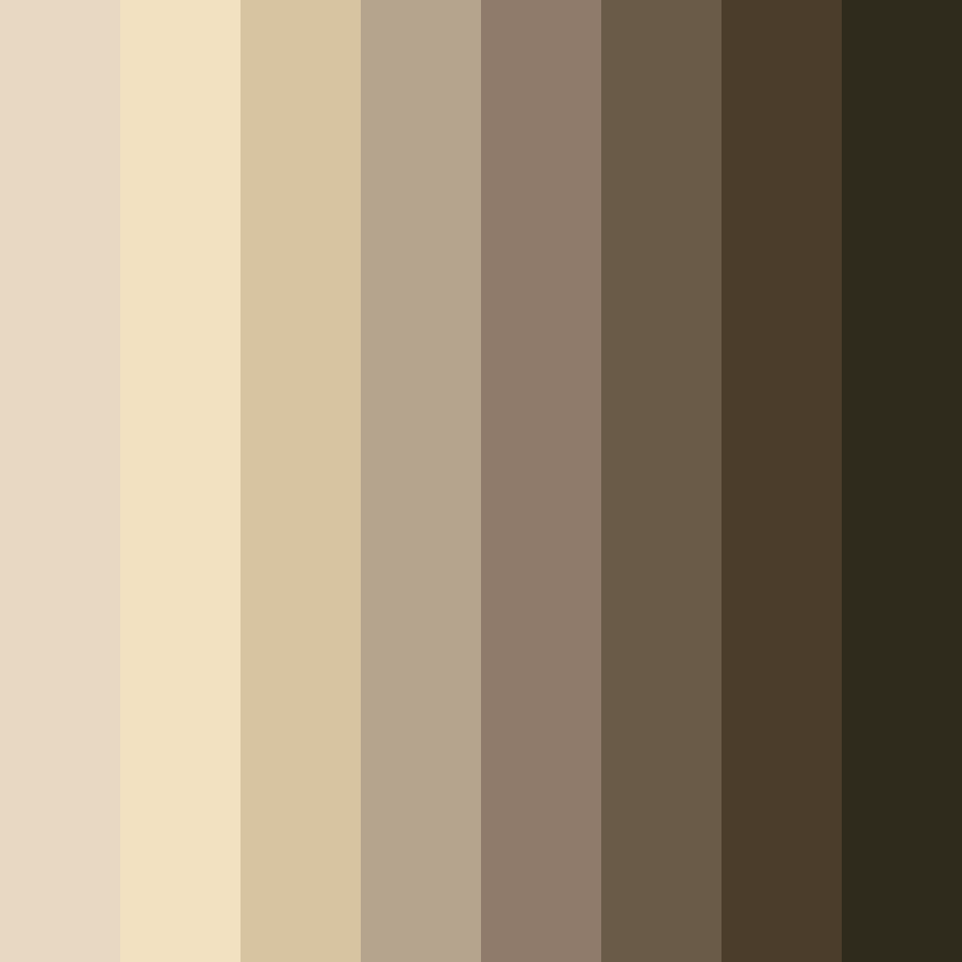 Download earthy brown color palette PNG image (square)