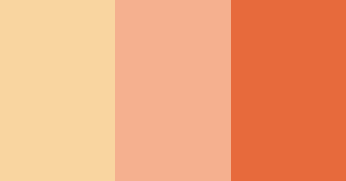 Download cinnamon whisk color palette PNG image (landscape)