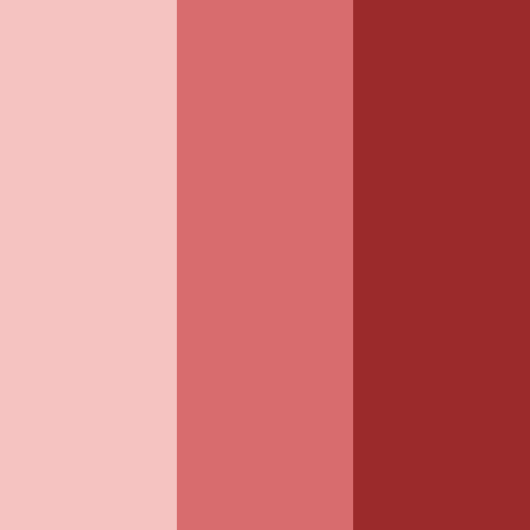 Download dark red color palette PNG image (square)