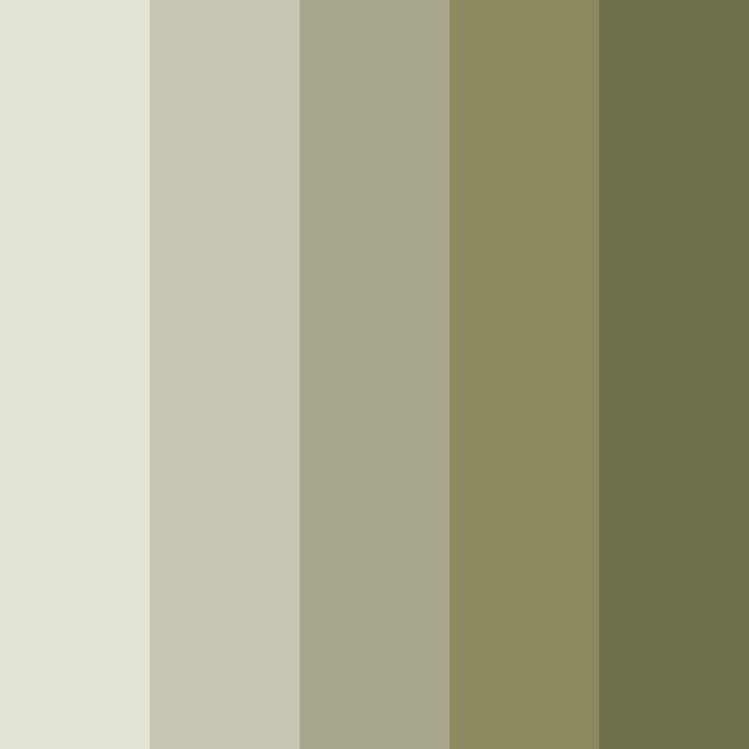 Download whispering sage color palette PNG image (square)