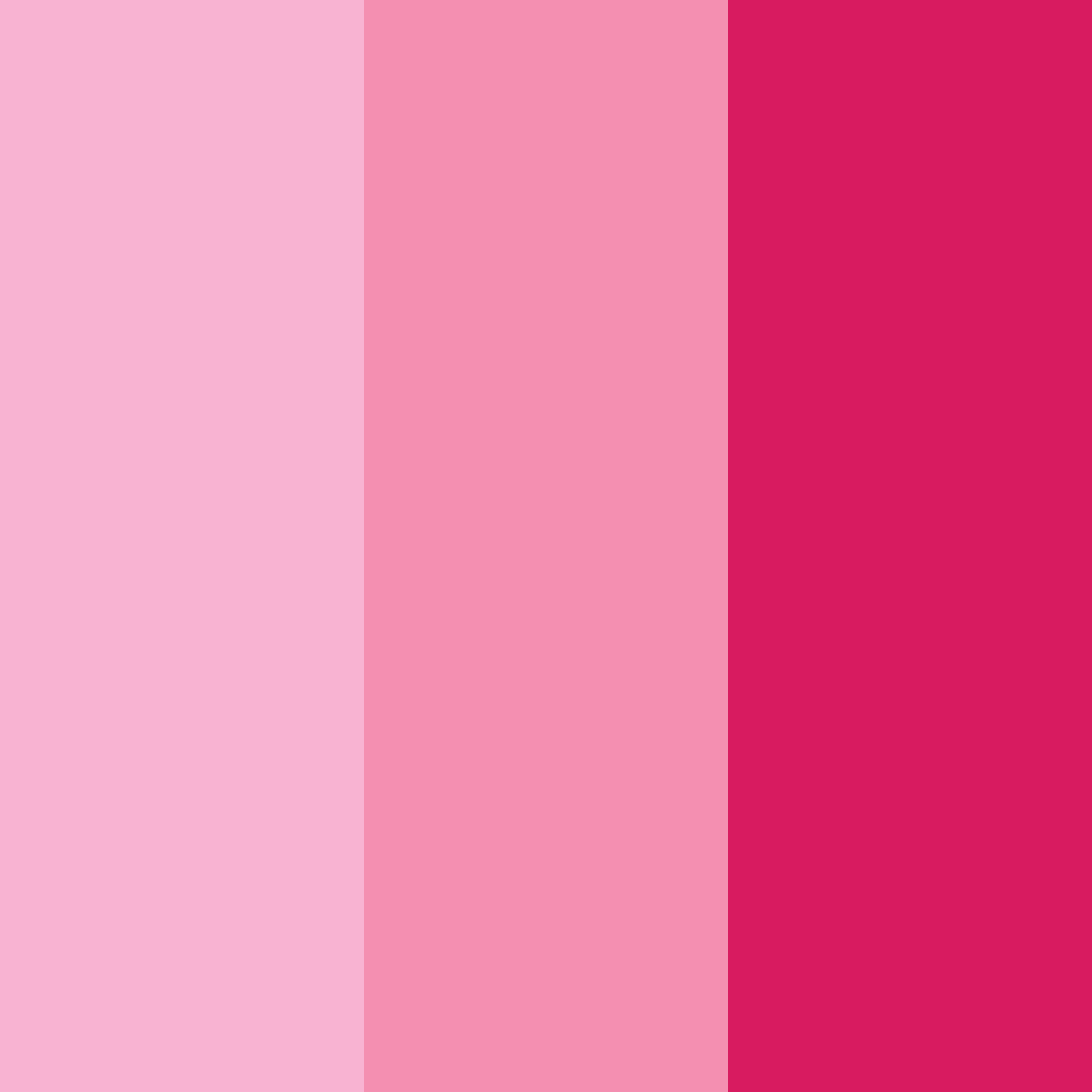 Download bright pink color palette PNG image (square)