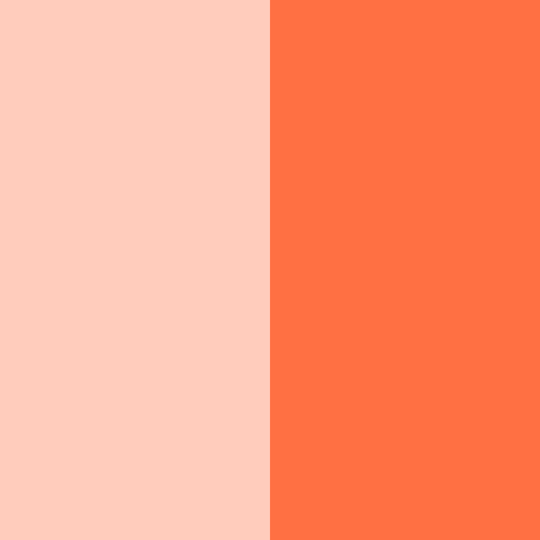 Download peach coral color palette PNG image (square)