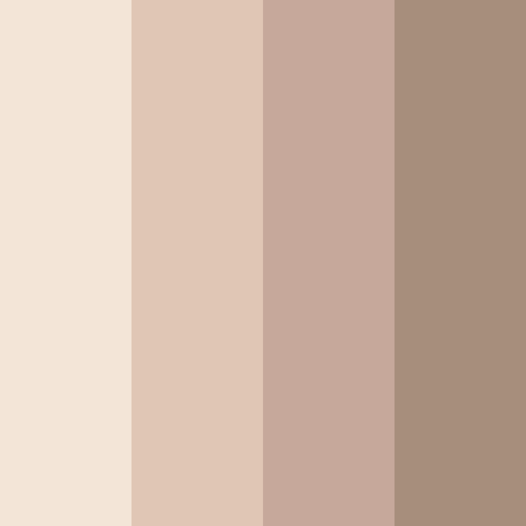 Download light brown color palette PNG image (square)