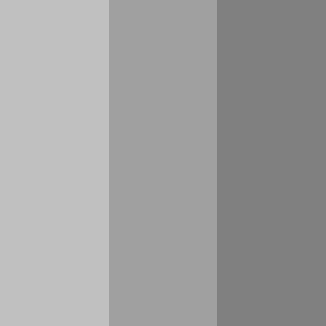 Download moonlit grayscale color palette PNG image (square)