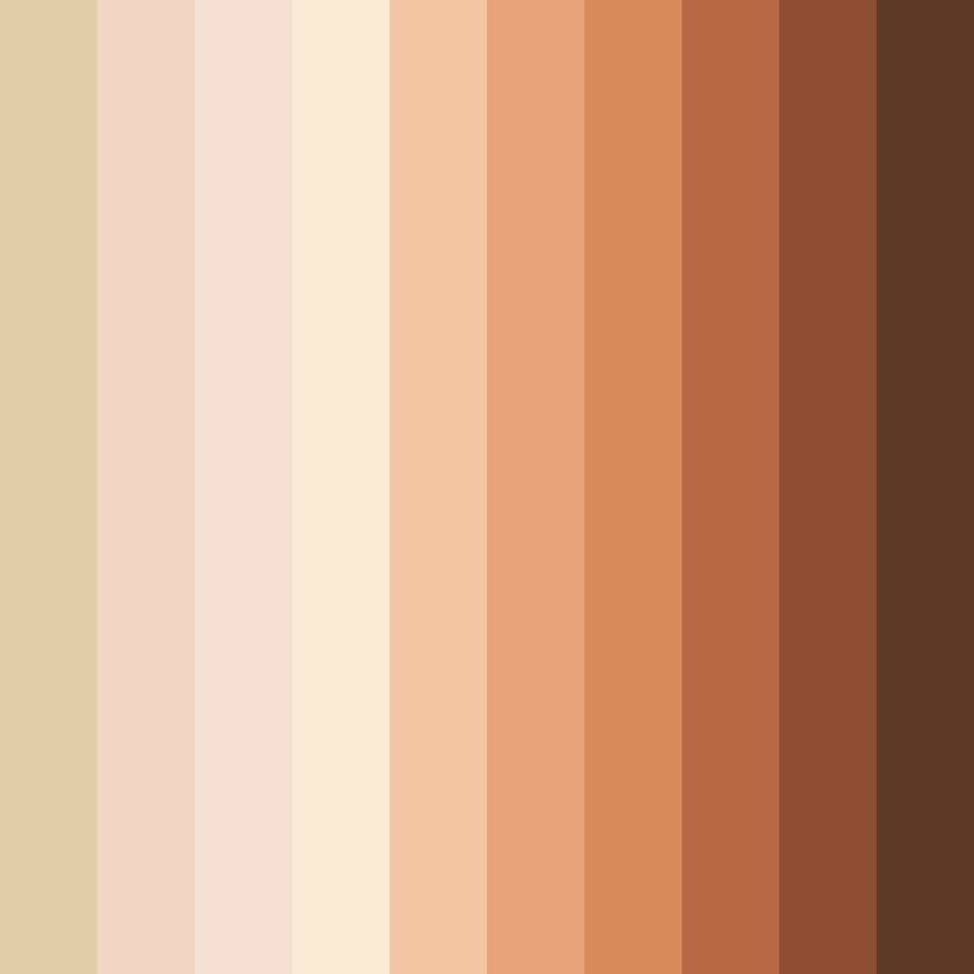 Download warm beige color palette PNG image (square)