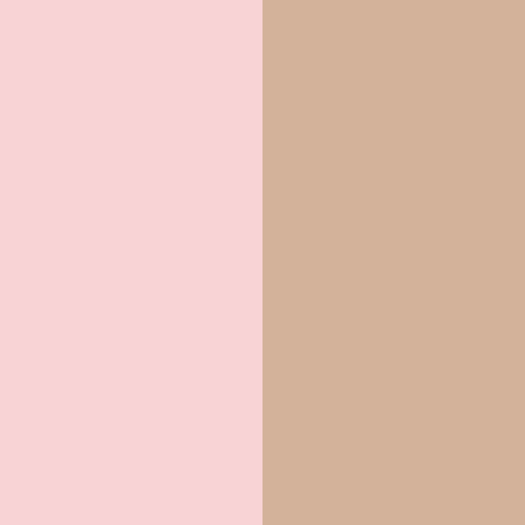 Download pink beige color palette PNG image (square)
