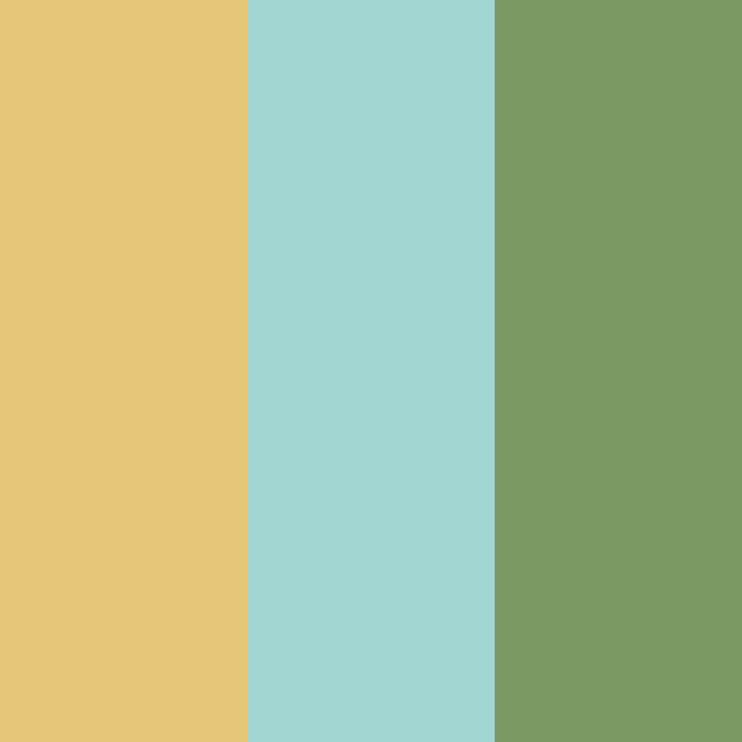 Download soft golden green color palette PNG image (square)
