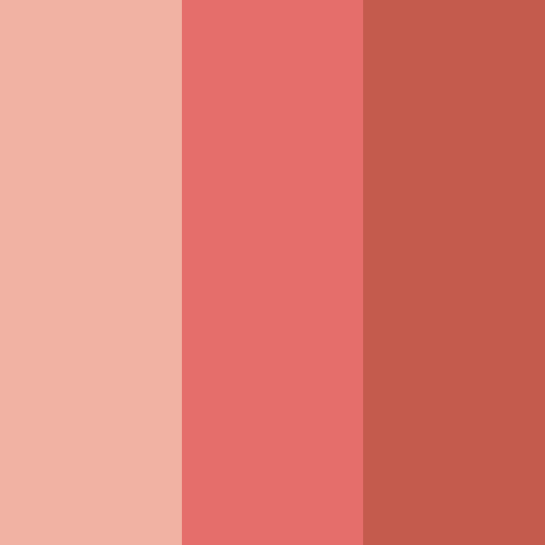 Download warm red color palette PNG image (square)
