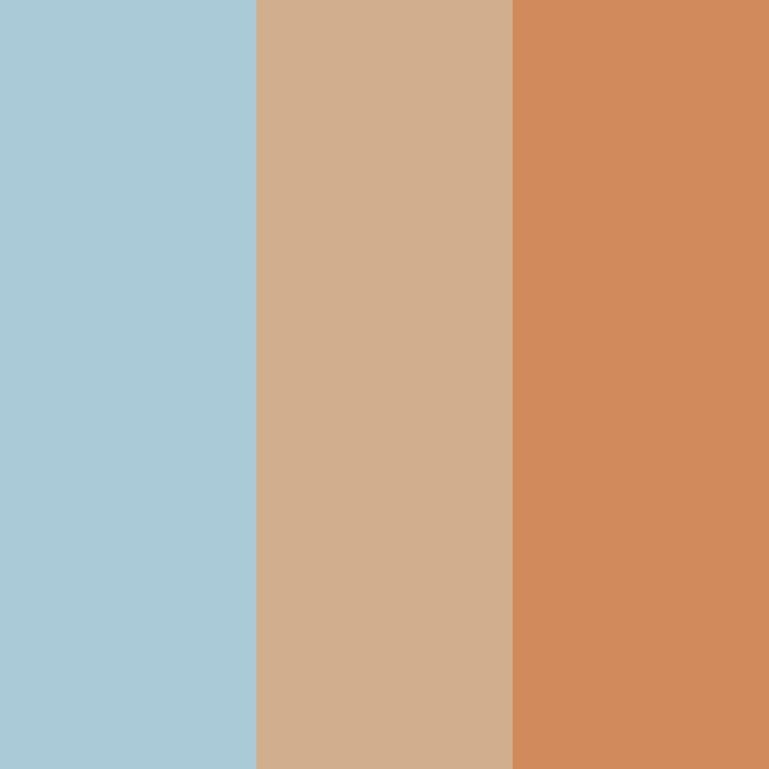 Download sunset serenity color palette PNG image (square)