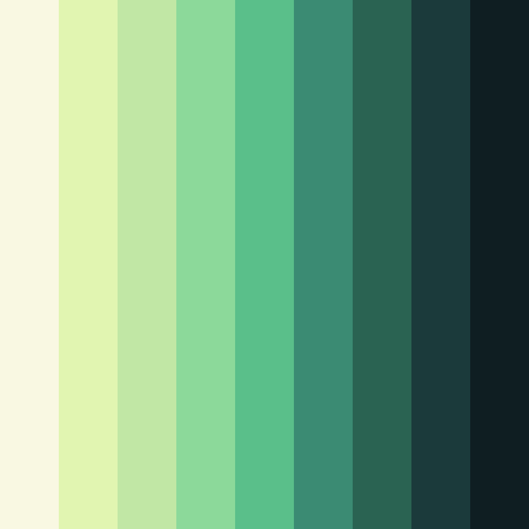 Download serene forest whisper color palette PNG image (square)