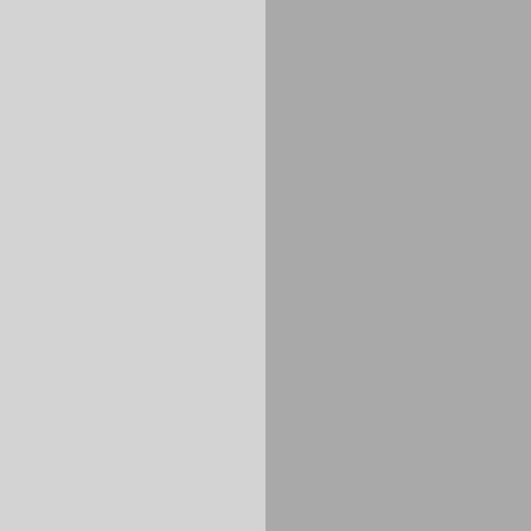 Download light grey color palette PNG image (square)