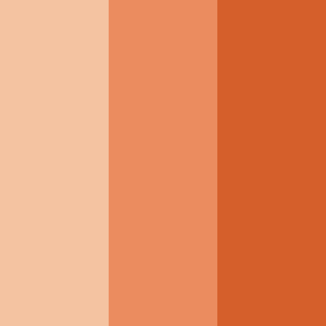Download peachy coral color palette PNG image (square)