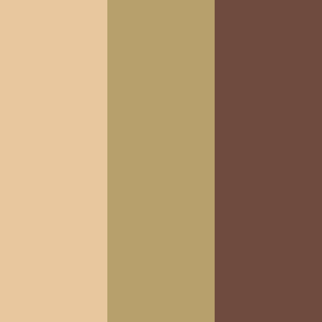 Download earthy whispers color palette PNG image (square)