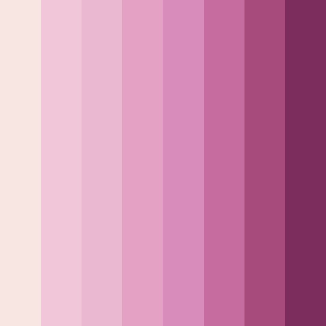 Download whisker wonderland color palette PNG image (square)