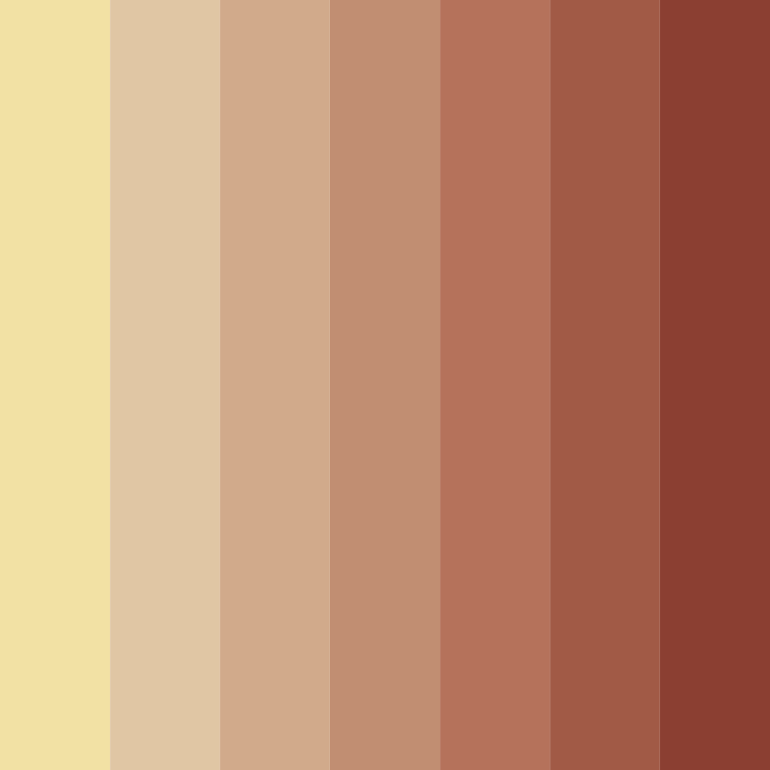 Download warm brown color palette PNG image (square)