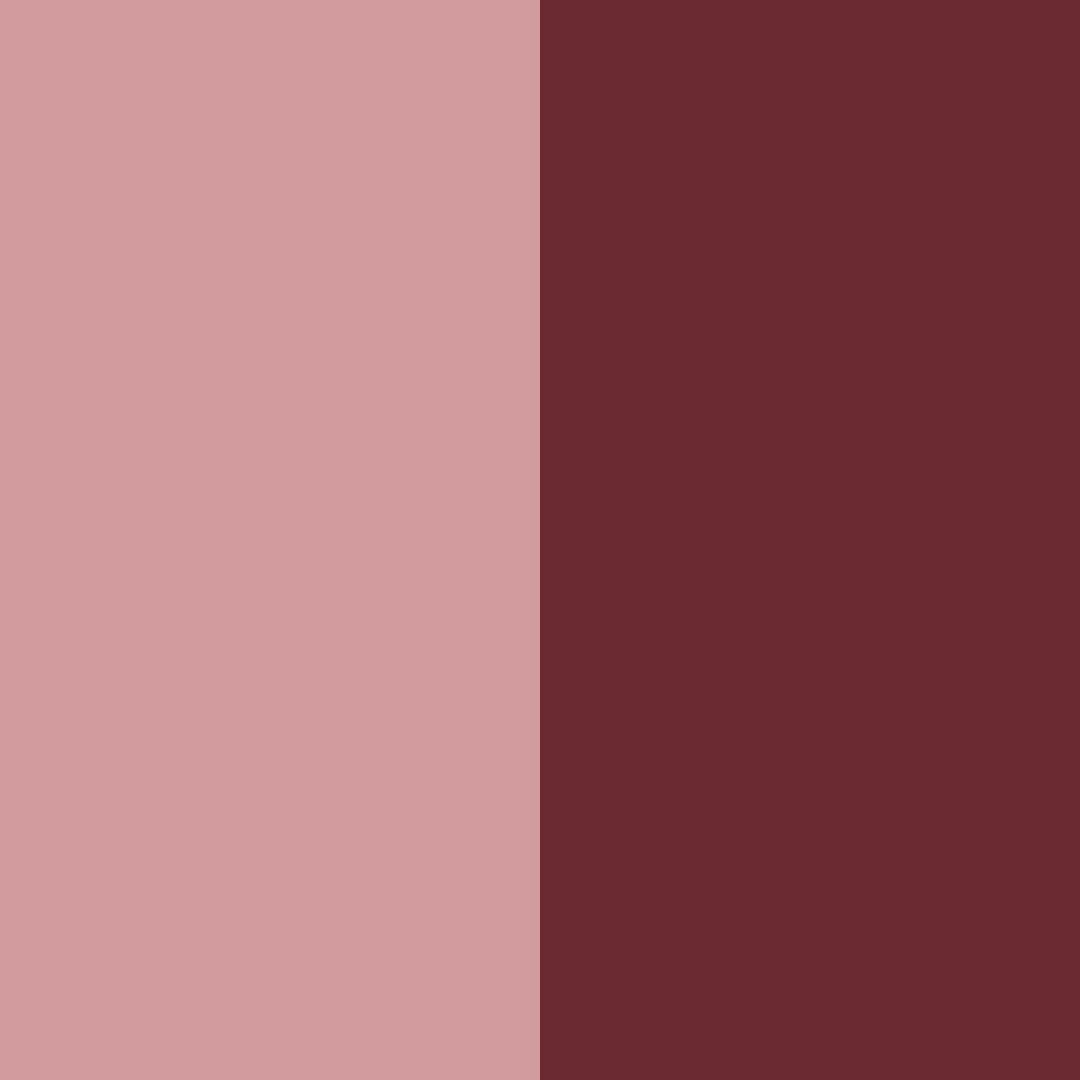 Download burgundy rose color palette PNG image (square)